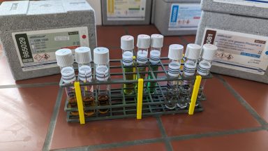 Küvettenständer Labor